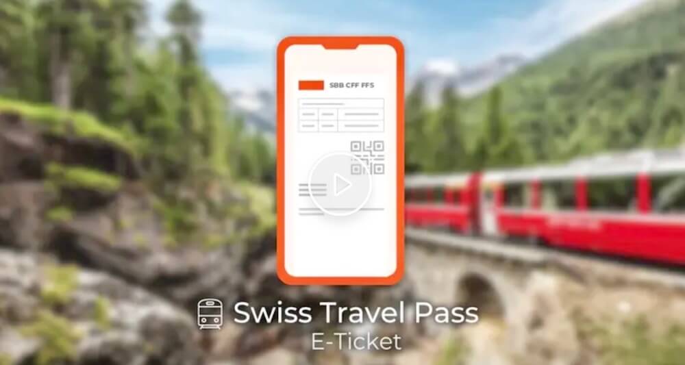 travel pass or