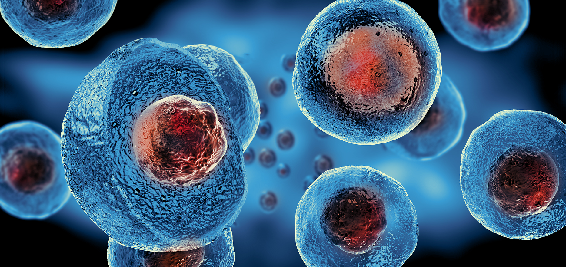 Biotech Research / Stem Cell Medicine Blogs