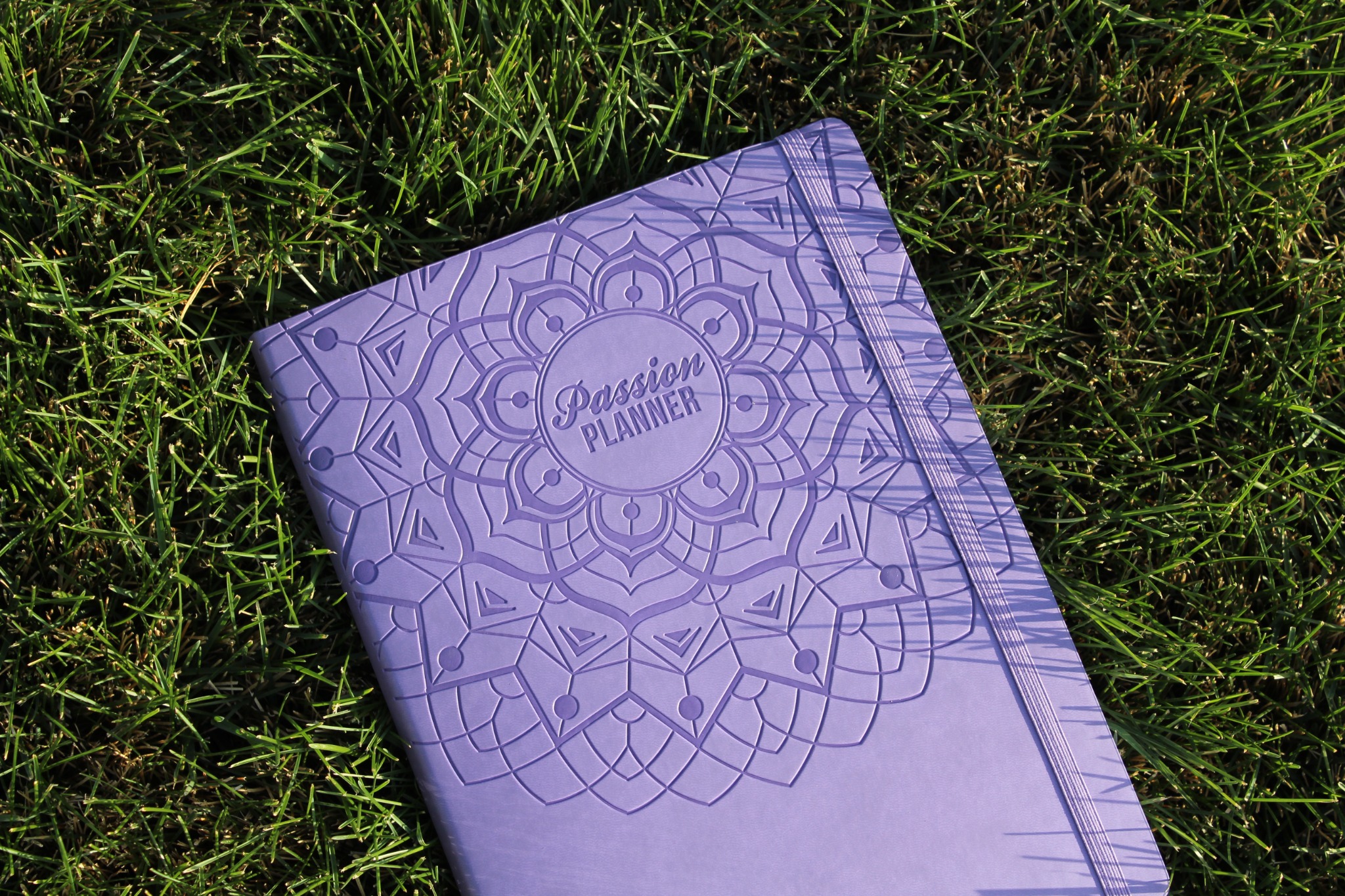 PassionPlanner_AlyssaTowns PassionPlanner_AlyssaTowns