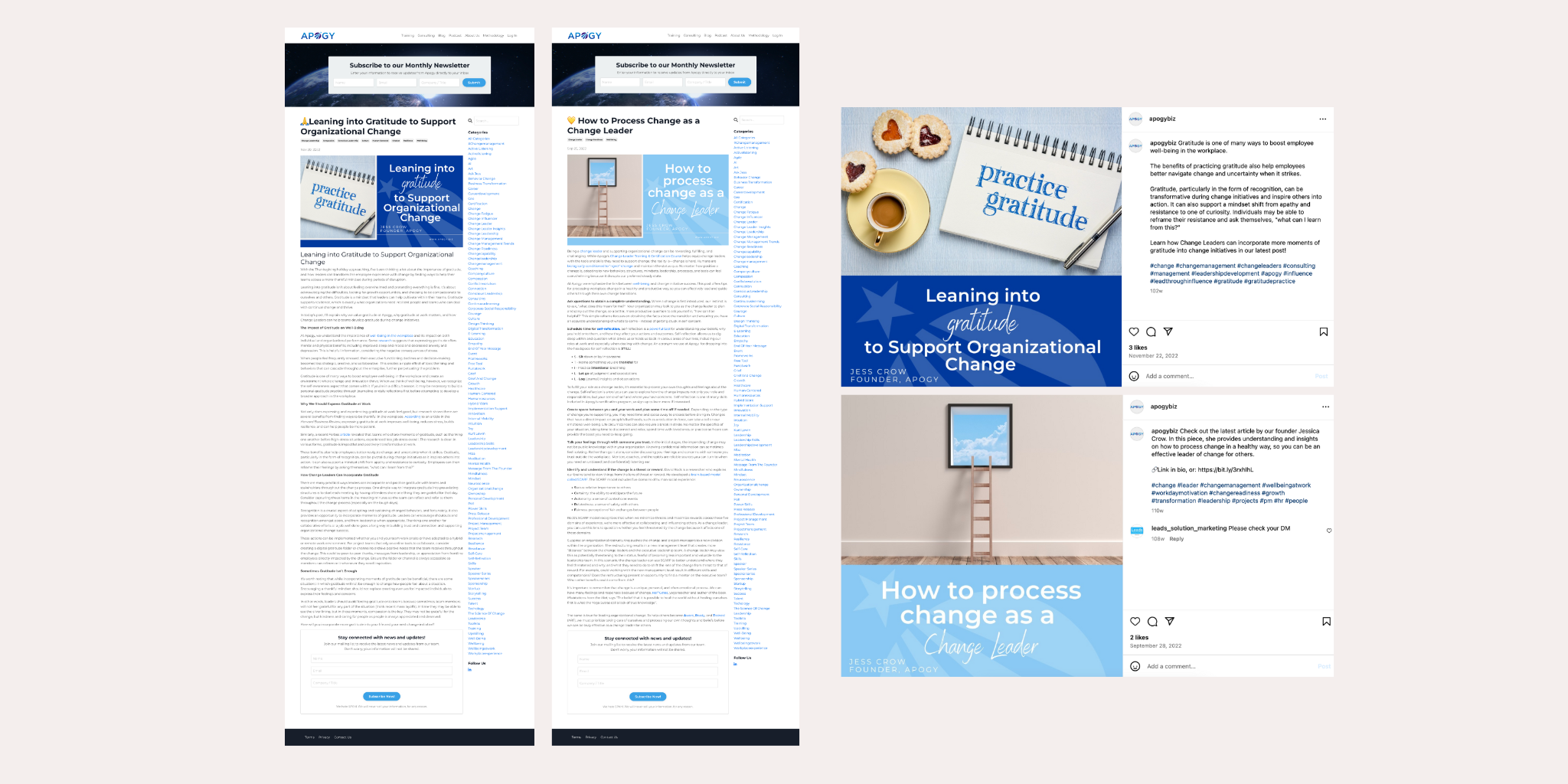 Apogy.biz Content Development